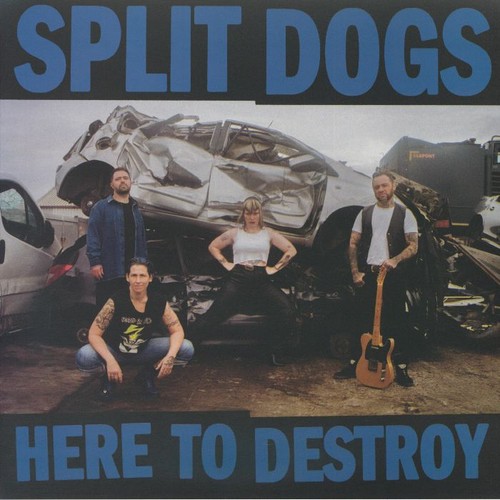 Split dogs here - split,