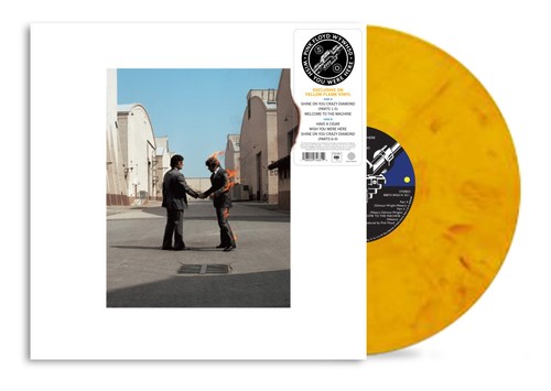 Pink floyd wish you were - floyd-, here